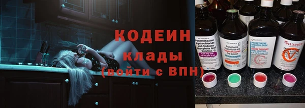 прущие крисы Новозыбков