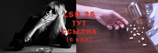 прущие крисы Новозыбков
