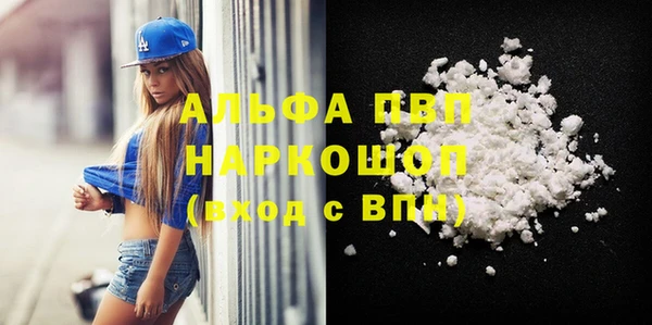 прущие крисы Новозыбков