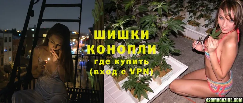 KRAKEN ссылка  Владимир  Бошки марихуана OG Kush 